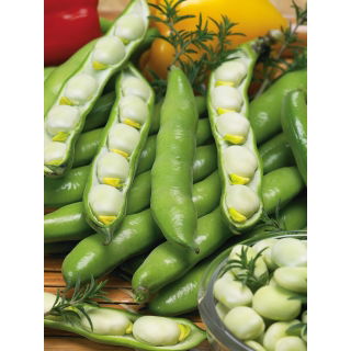 Bób Bolko - 500 gram