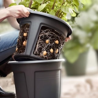 Doniczka do uprawy ziemniaków z możliwością łatwego wyjęcia bulw - śr. 30 cm