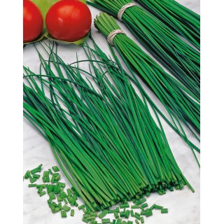 Szczypiorek Prazska - 50 gram