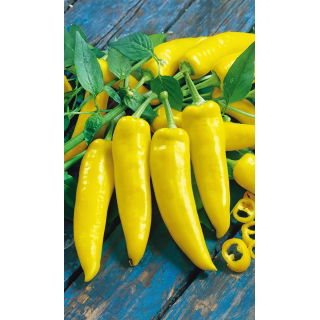 Papryka Hungarian yellow wax hot - ostra węgierska
