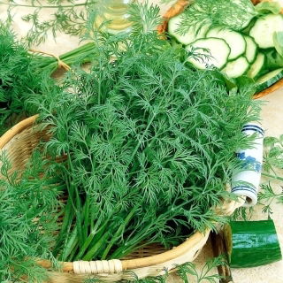Koper ogrodowy Krezus - 100 gram