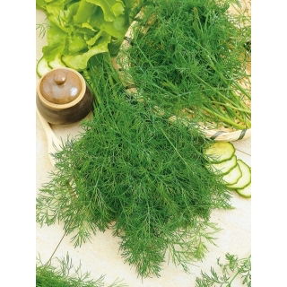 Koper ogrodowy Hanak