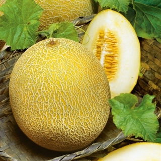 Melon Oranje Ananas
