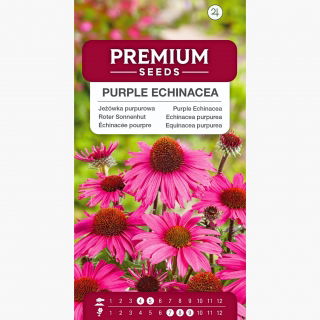 Jeżówka purpurowa