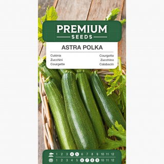Cukinia Astra Polka