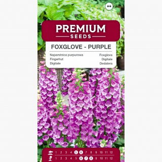 Naparstnica purpurowa - fioletowa - setki dzwonków na jednym pędzie!