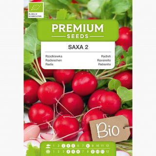 BIO Rzodkiewka Saxa 2 - Certyfikowane nasiona ekologiczne