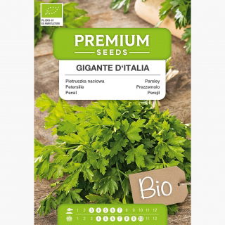 BIO Pietruszka naciowa Gigante d'Italia - Certyfikowane nasiona ekologiczne