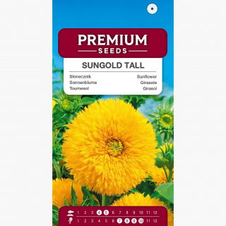 Słonecznik ozdobny Sungold Tall - wysoki