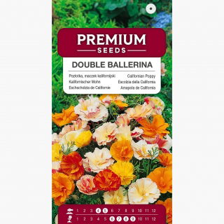 Pozłotka, maczek kalifornijski, eszolcja pełna Ballerina - mieszanka