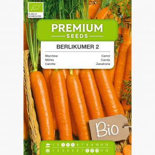 BIO Marchew Berlikumer - Certyfikowane nasiona ekologiczne