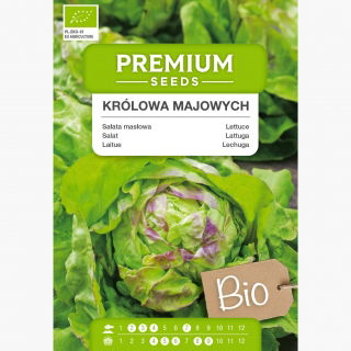 BIO Sałata masłowa Królowa Majowych - Certyfikowane nasiona ekologiczne