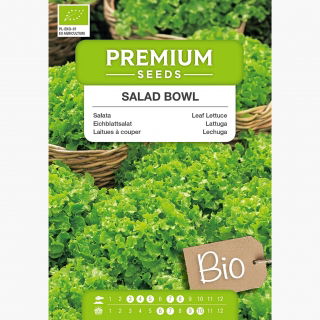 BIO Sałata liściowa Salad Bowl - Certyfikowane nasiona ekologiczne