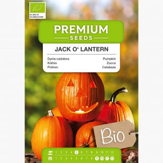 BIO Dynia zwyczajna Jack O' Lantern - Certyfikowane nasiona ekologiczne