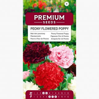 Mak letni - peoniowy, mieszanka