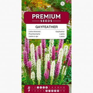 Liatra kłosowa - mieszanka