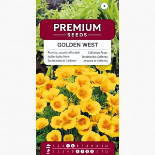 Pozłotka, maczek kalifornijski, eszolcja Golden West