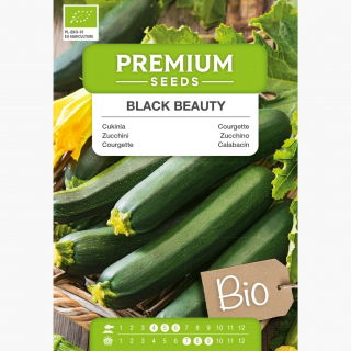BIO Cukinia Black Beauty