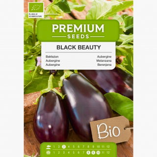 BIO Bakłażan Black Beauty