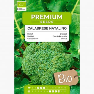 BIO Brokuł Calabrese Natalino