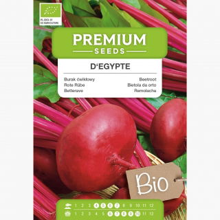 BIO Burak ćwikłowy D'Egypte