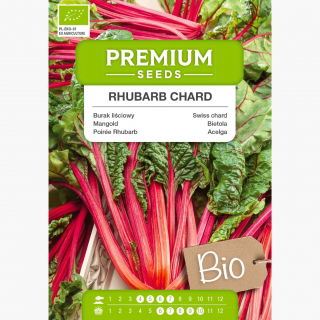 BIO Burak liściowy Rhubarb Chard