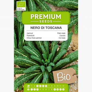 BIO Jarmuż Nero di Toscana