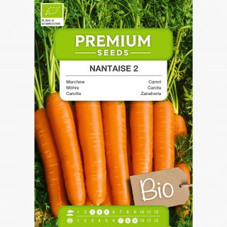 BIO Marchew Nantaise 2