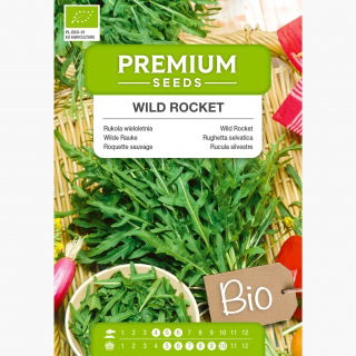 BIO Rukola wieloletnia