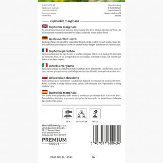 Wilczomlecz obrzeżony