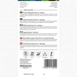 Aksamitka rozpierzchła Aurora - pomarańczowa