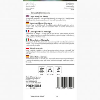 Dimorfoteka, Złotokwiat - kolorowa mieszanka