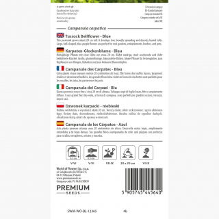 Dzwonek karpacki - niebieski