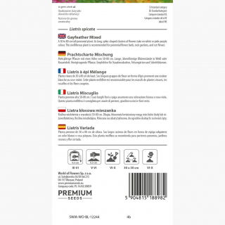 Liatra kłosowa - mieszanka