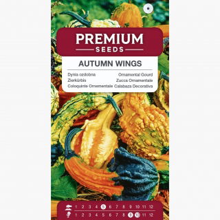 Dynia ozdobna Autumn Wings