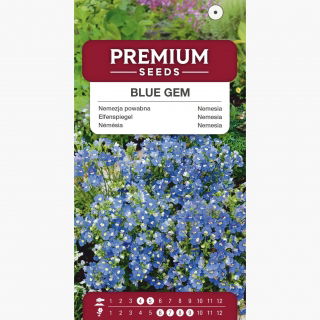 Nemezja powabna Blue Gem