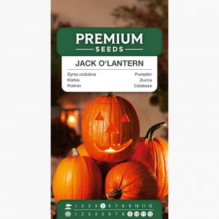 Dynia ozdobna Jack O'Lantern - jadalna