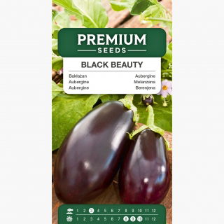 Oberżyna, Bakłażan Black Beauty
