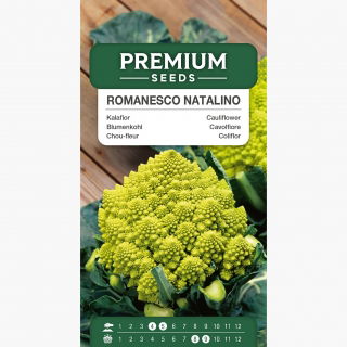 Kalafior Romanesco Natalino - o róży zielonej