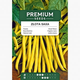 Fasola Złota Saxa - szparagowa żółtostrąkowa