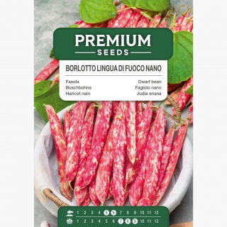 Fasola Borlotto lingua di fuoco nano - szparagowa