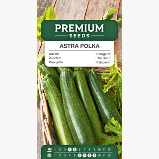 Cukinia Astra Polka