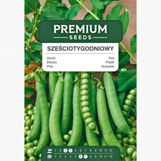 Groch Sześciotygodniowy - siewny, łuskowy, bardzo szybki zbiór!