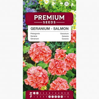 Pelargonia łososiowa