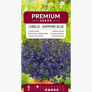 Lobelia zwisła szafirowoniebieska