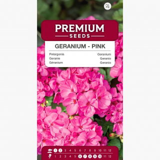 Pelargonia różowa