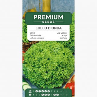 Sałata Lollo Bionda - liściowa karbowana