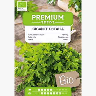 BIO Pietruszka naciowa Gigante d'Italia - Certyfikowane nasiona ekologiczne