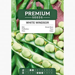 Bób White Windsor