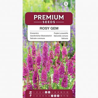 Krwawnica Rosy Gem